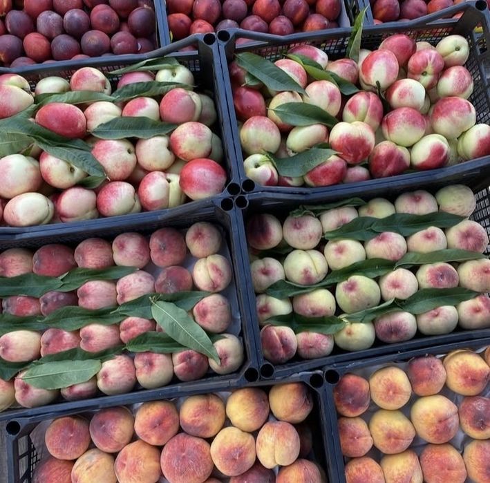 Свежие фрукты,без химии