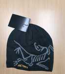 Caciula arcteryx