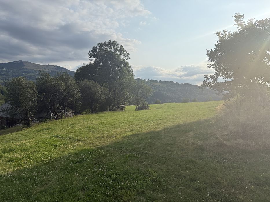 Vand teren 3,5 ha in sat Transiu