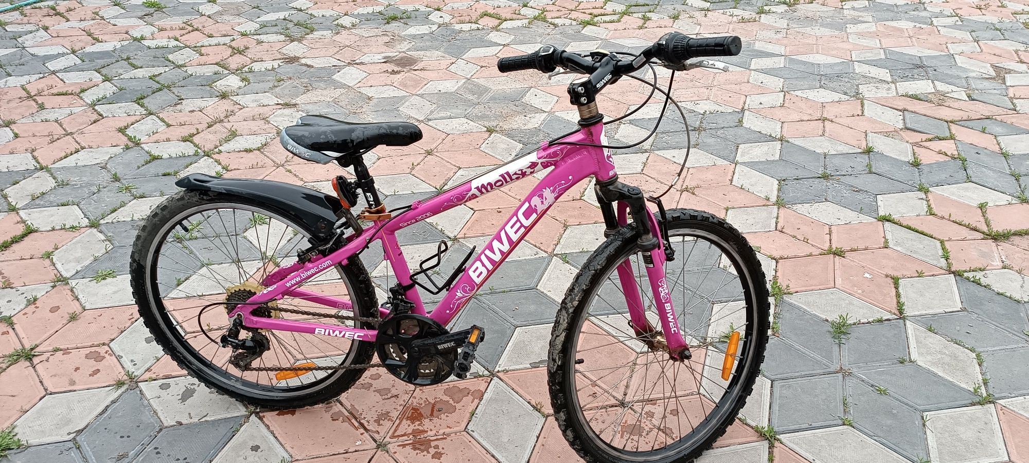 Велосипед Biwec 24