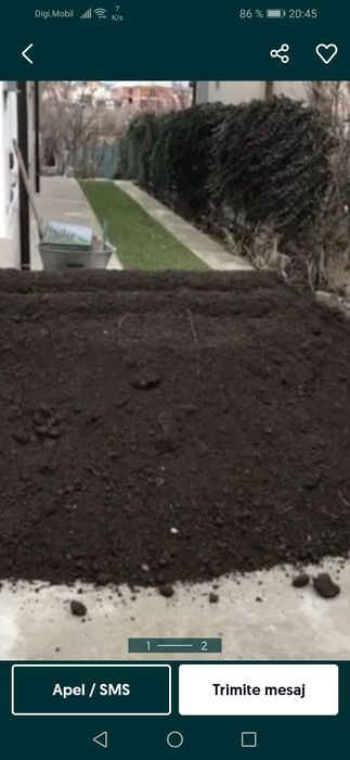 Pamant negru vegetal