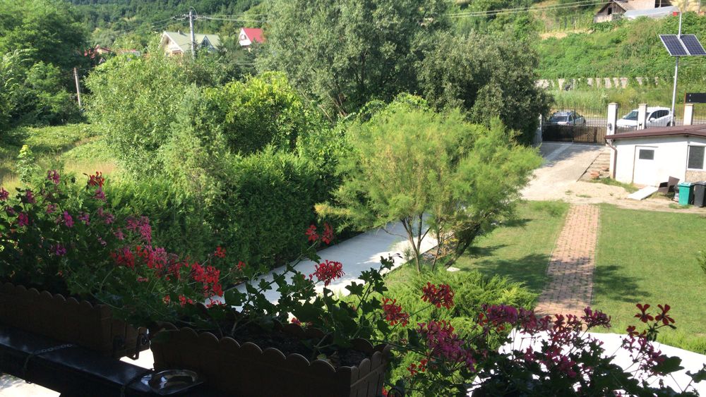 vilă/ cabană de lux in Valea Budului - Bacau