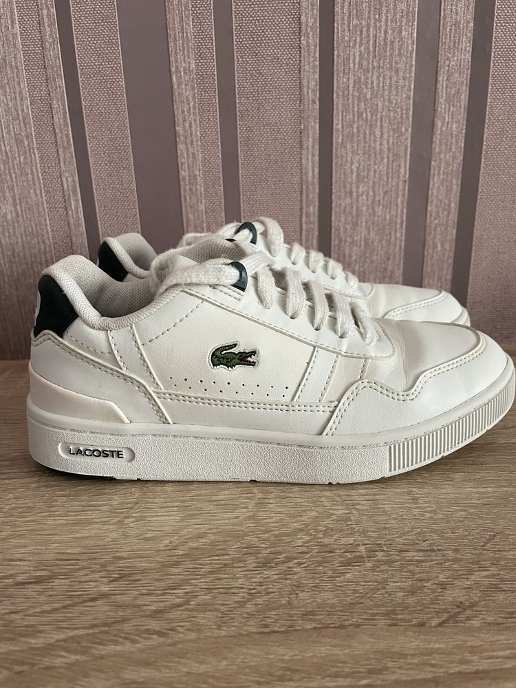 Кецове Lacoste, 32.5 номер