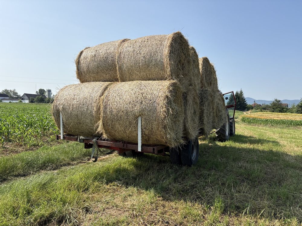 Vand baloti de lucerna amestecati cu iarba productie 2025