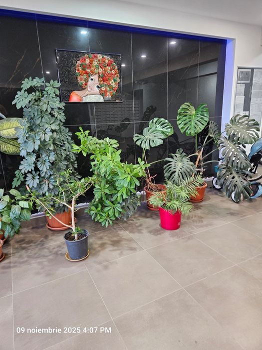 Inchiriere ap 2 camere