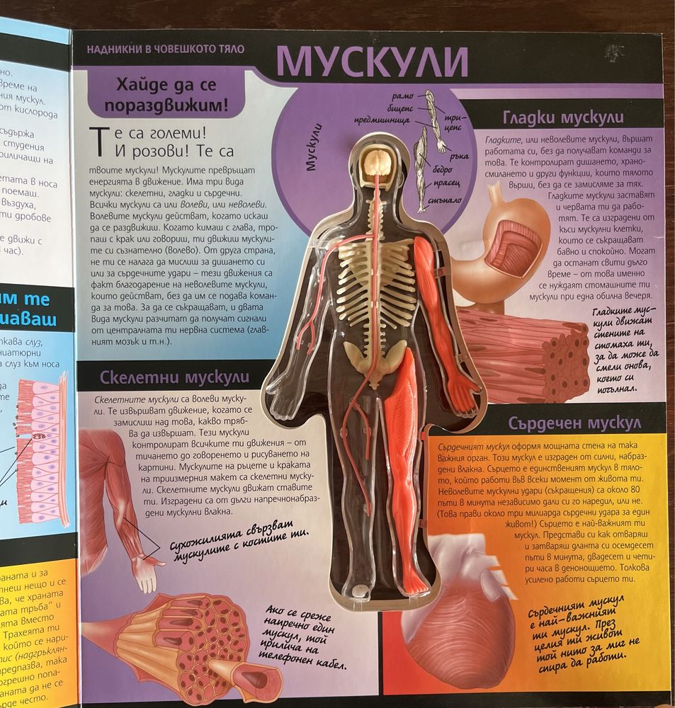 Енциклопедия на Човешкото тяло