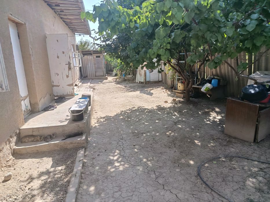 Xovli uy 2sotixdan ortiq