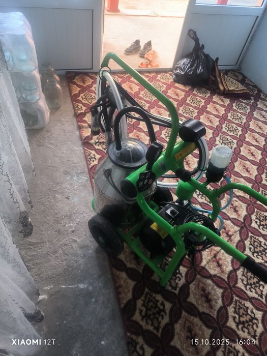 Нам дали 1 год гарантия