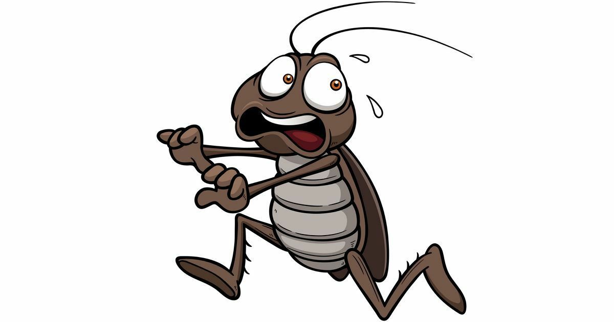 Средство для уничтожения тараканов, мух и др