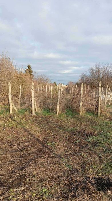 Продава се Къща в с. Полковник Минково, Област Добрич - 54 кв.м за 543 €/кв.м - Снимка #3