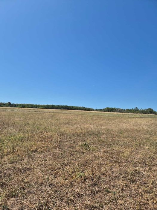 Vand teren extravilan 3 ha Livada Mare, Comuna Grebanu, jud Buzau