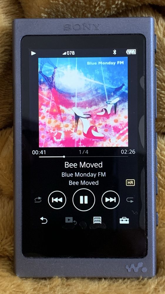 SONY NW-A47 Digital Music Player 64GB, high-quality audio playback