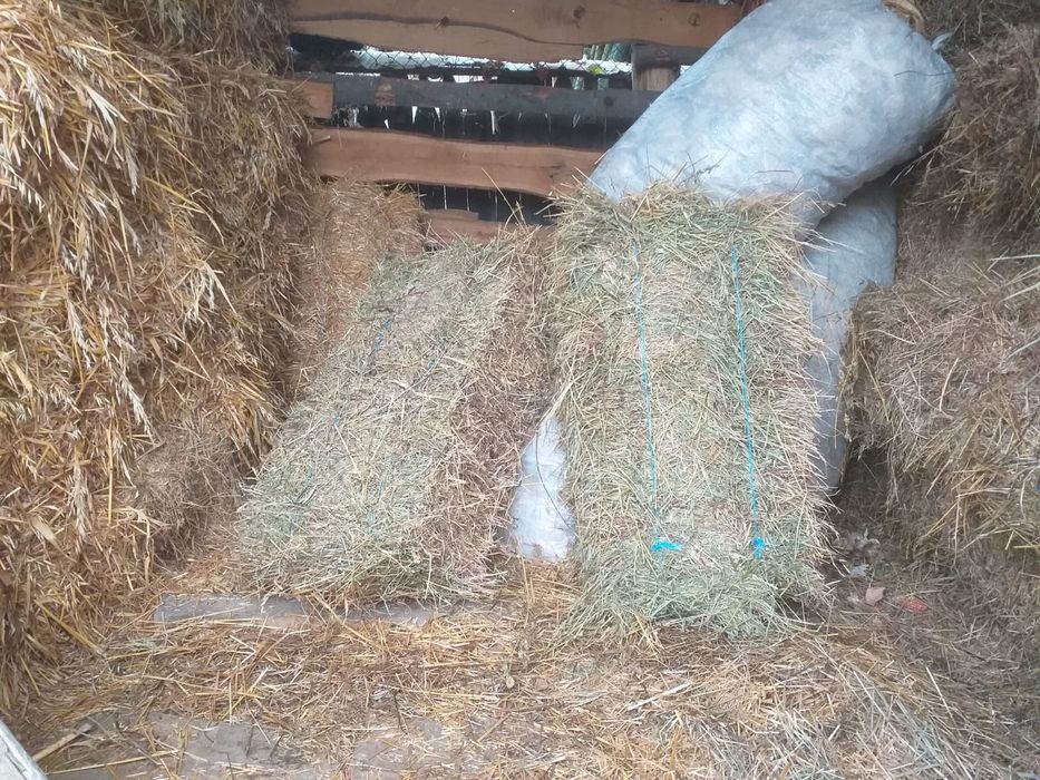 Baloți de vânzare. Nu răspund la mesaje .