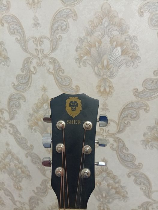 Akkustik gitara 6 ta simlik