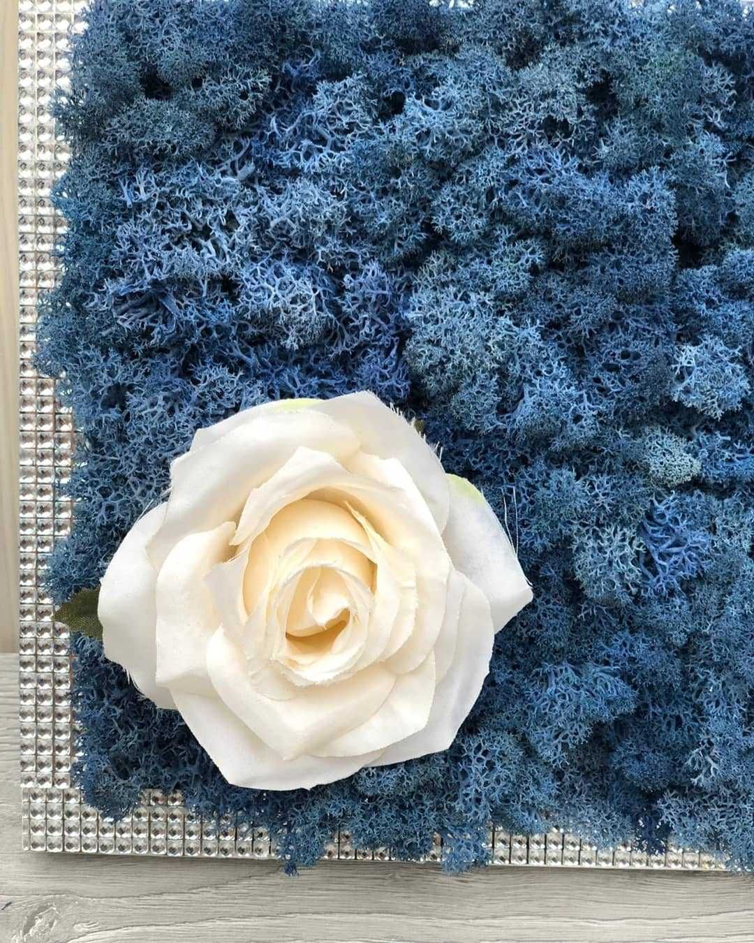 Tablou rama strasuri 43×24 cm decorat cu licheni albastru azur