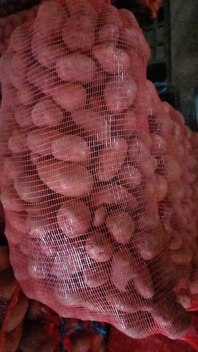 Vând cartofi super mari albi şi roşi în plase la 30kg!