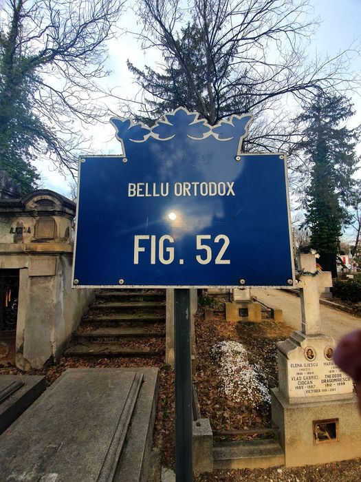 Loc de veci,  cimitirul Bellu