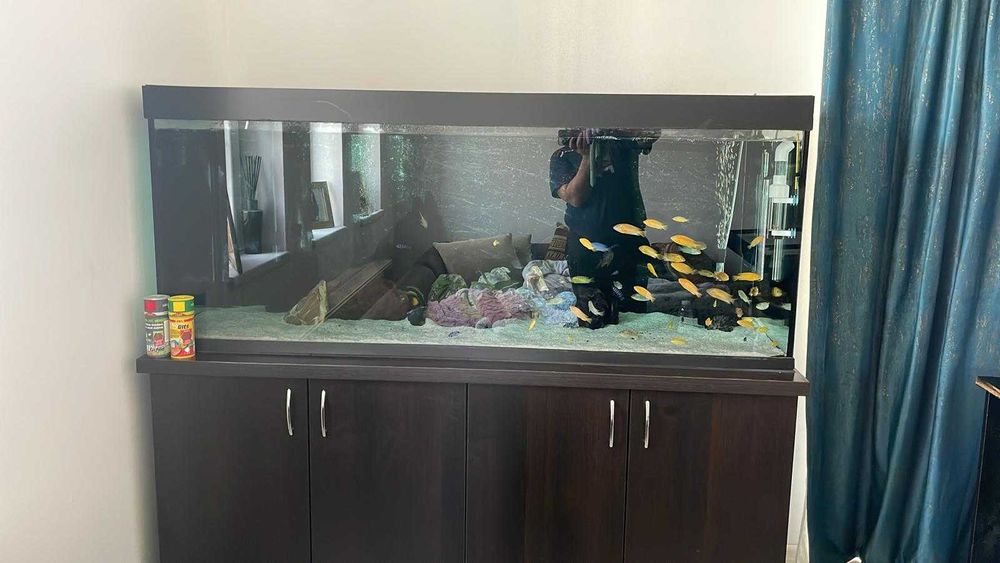 Acvariu 500L + Stand Metalic + Echipat complet