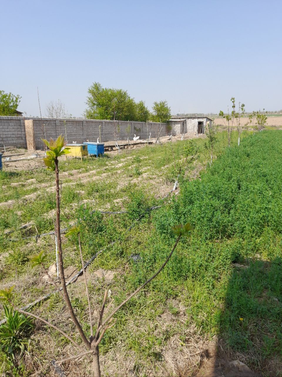 Продажа земельного участка