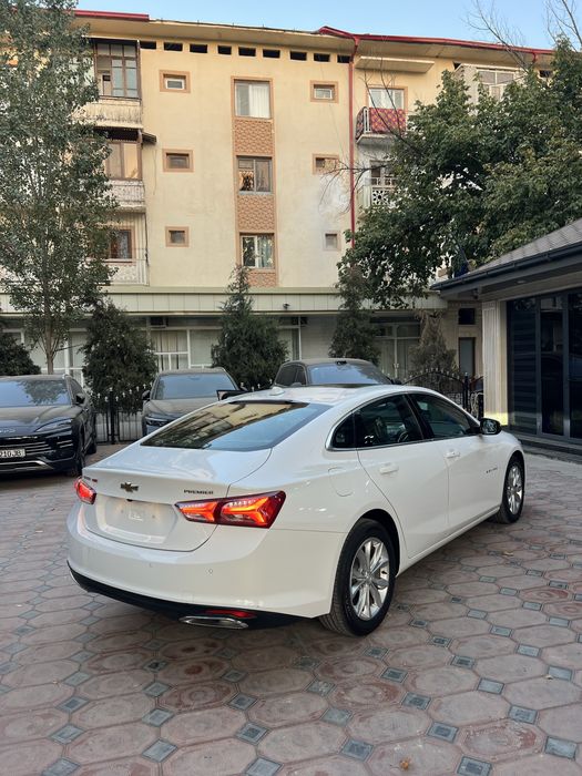 Malibu 2 Premier Masloooo