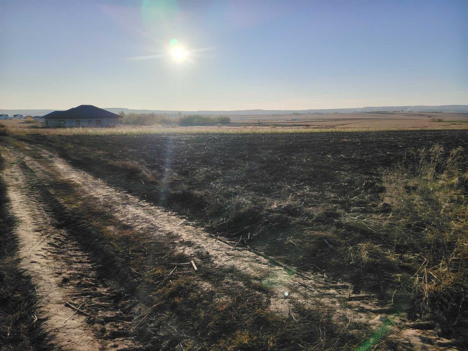 Teren intravilan+extravilan