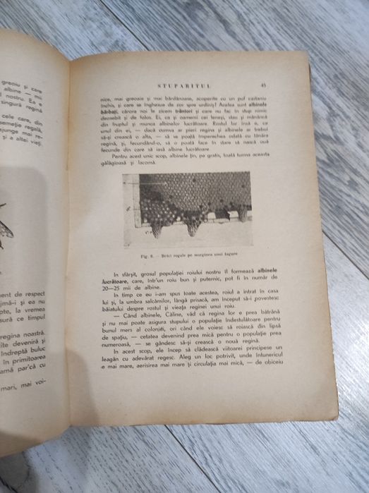 Apicultura, ediție 1943.