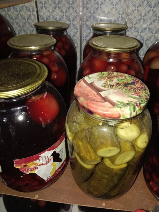 Продам саленье кампот лече