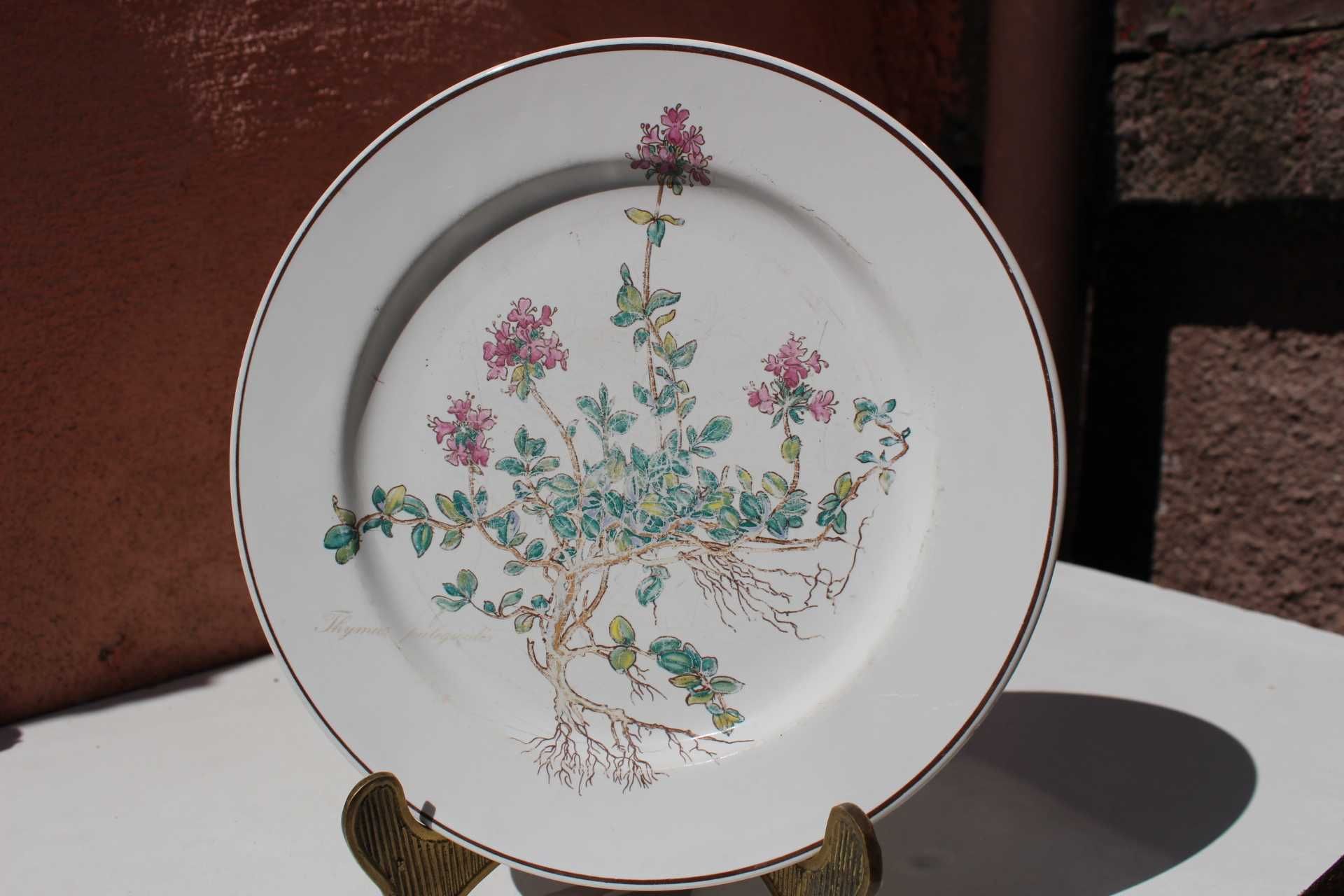Set 8 farfurii portelan de colectie VILLEROY & BOCH, BOTANICA