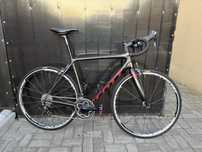 Cursiera Scott Addict RC
