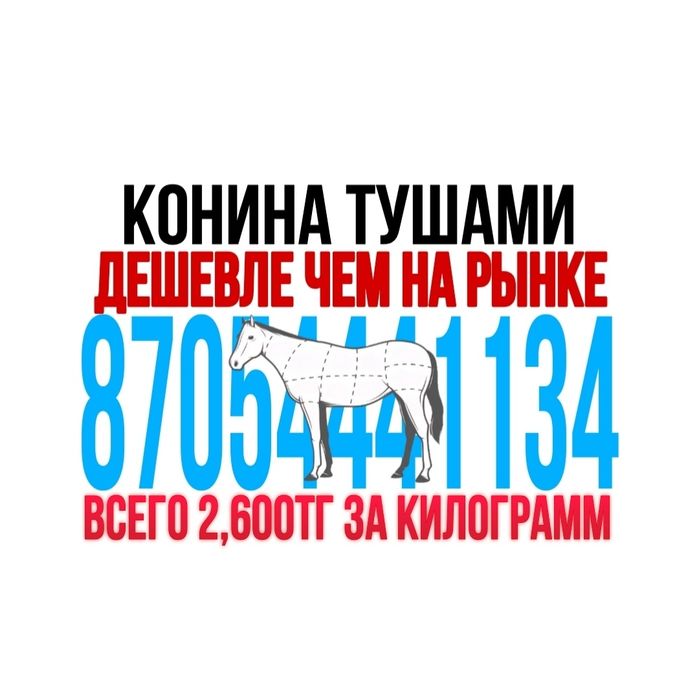 Свежая конина тушами — по цене ниже рынка