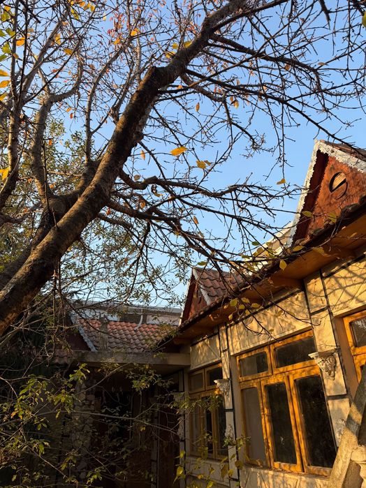 Vand urgent casa+teren Cerna Tulcea 2997 mp