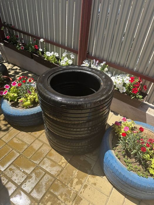 Cauciucuri vara hankook 205/55 R16 91H dot 24