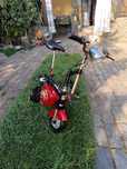 Scuter sportee electric
