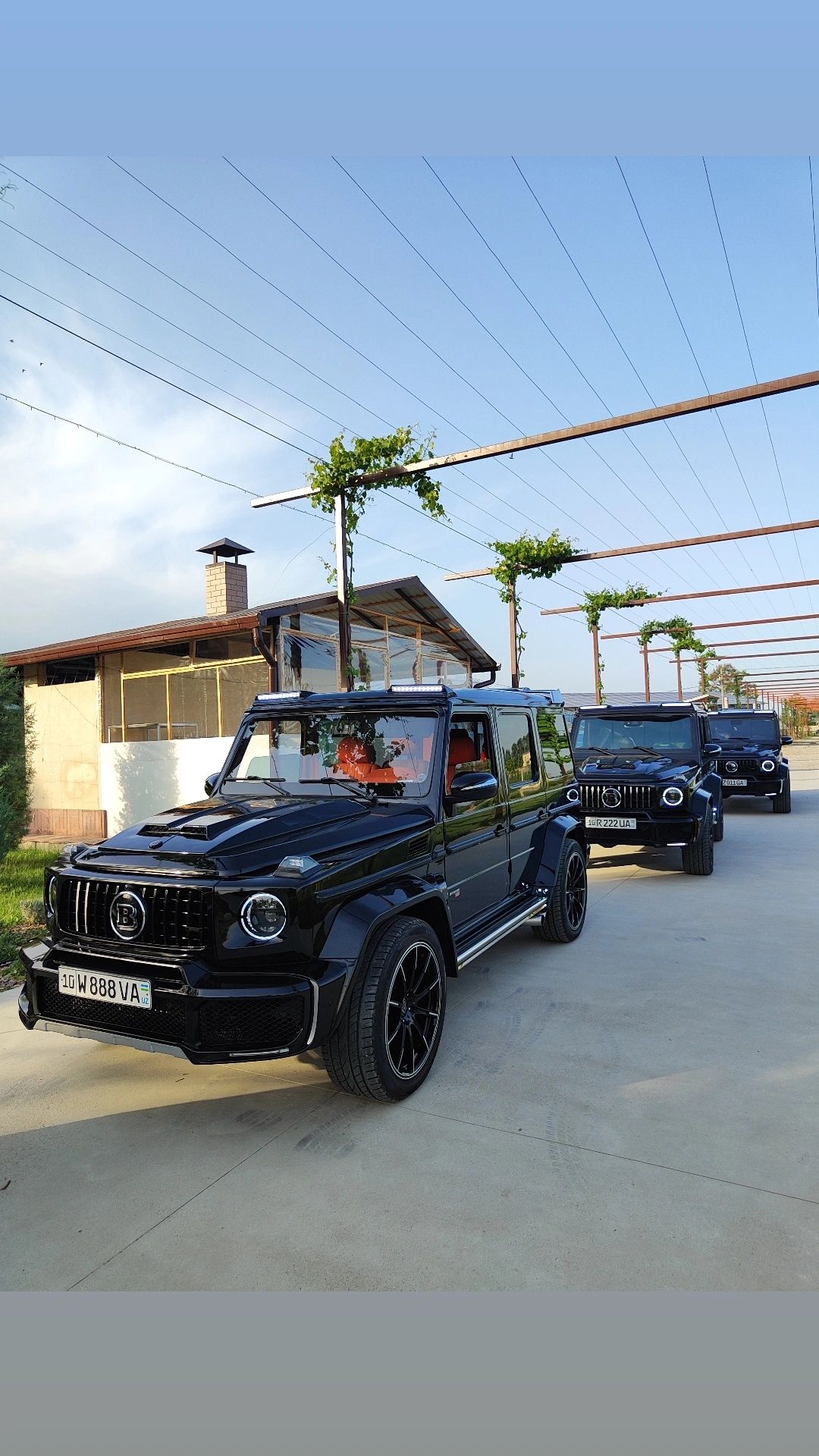 Кортеж Той ва Радом Kortej BrabuS888