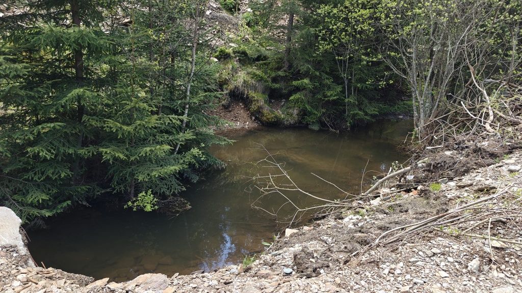 Vând teren intravilan in Muntele Bocului, Baisoara