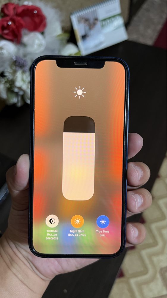 Iphone 12 в идеале