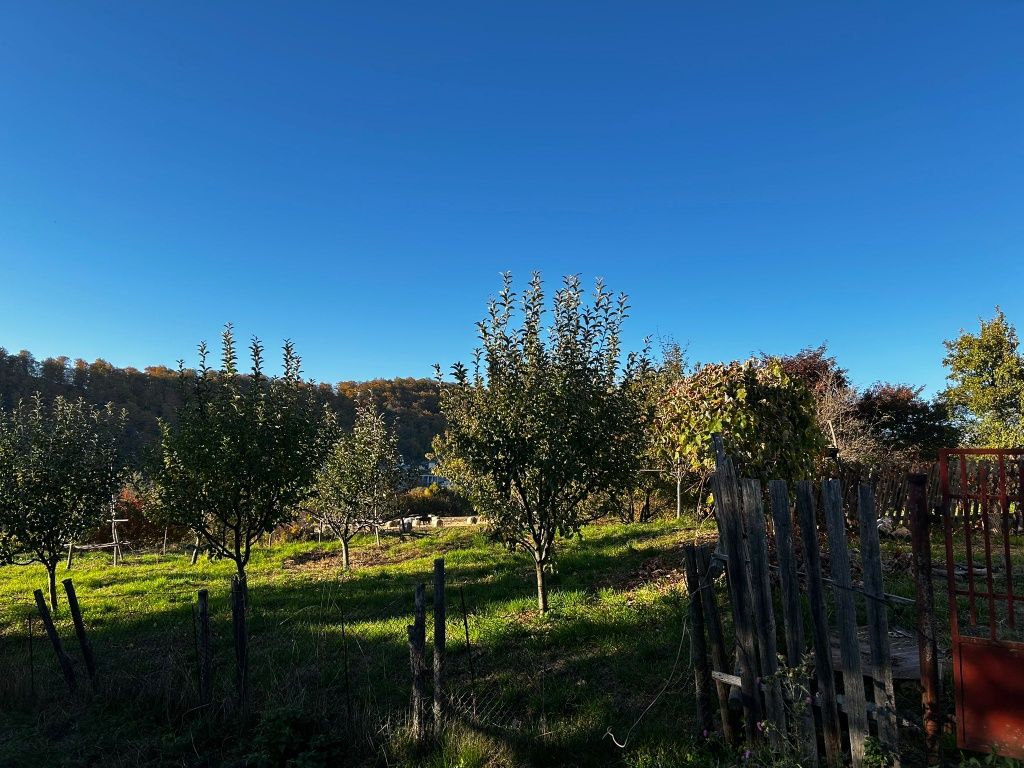Vând casă+teren 5000 mp