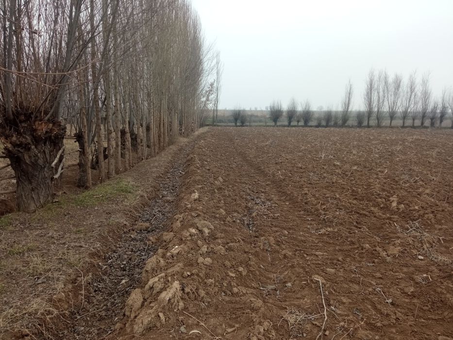 Toshkent viloyati oqqoʻrgʻon tumanida