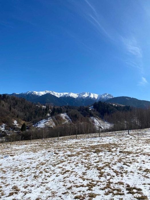 PROPRIETAR - 3274 mp intravilan Simon (BRAN)