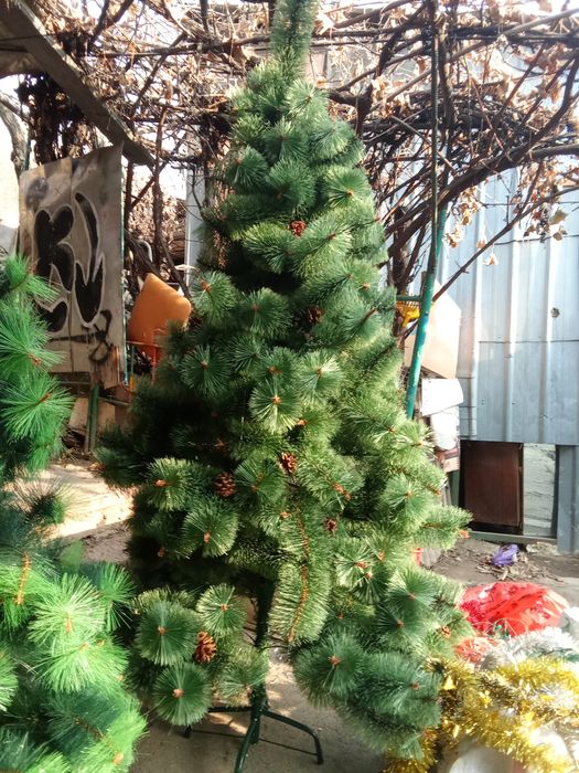 Продам новогодние ёлки не дорого