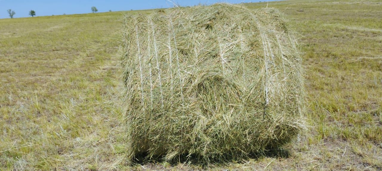 Продам  рулон   ЖЕТНЯК