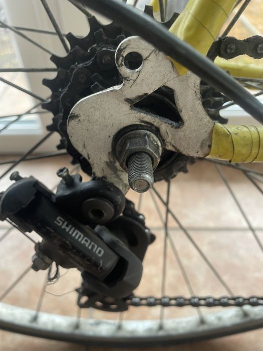 Vand cursiera englezeasca