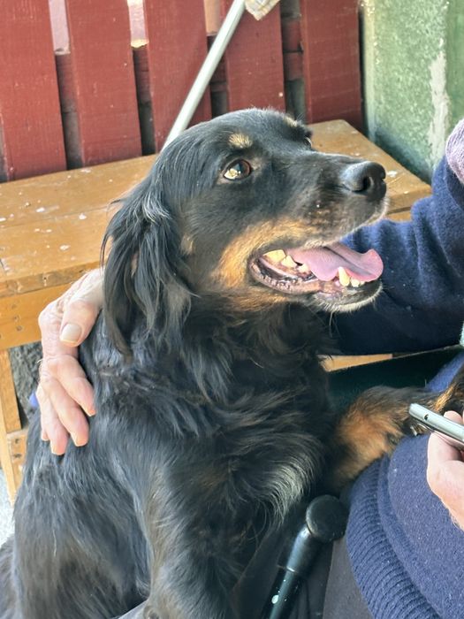 Donez caine .. are cam 8 ani