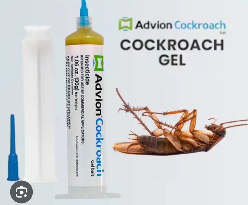 Таракан дори (оригинал) ва Каламуш Сичкон