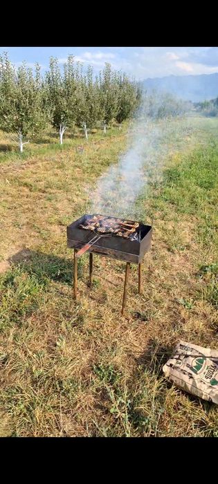 Сад яблоневый Иссык