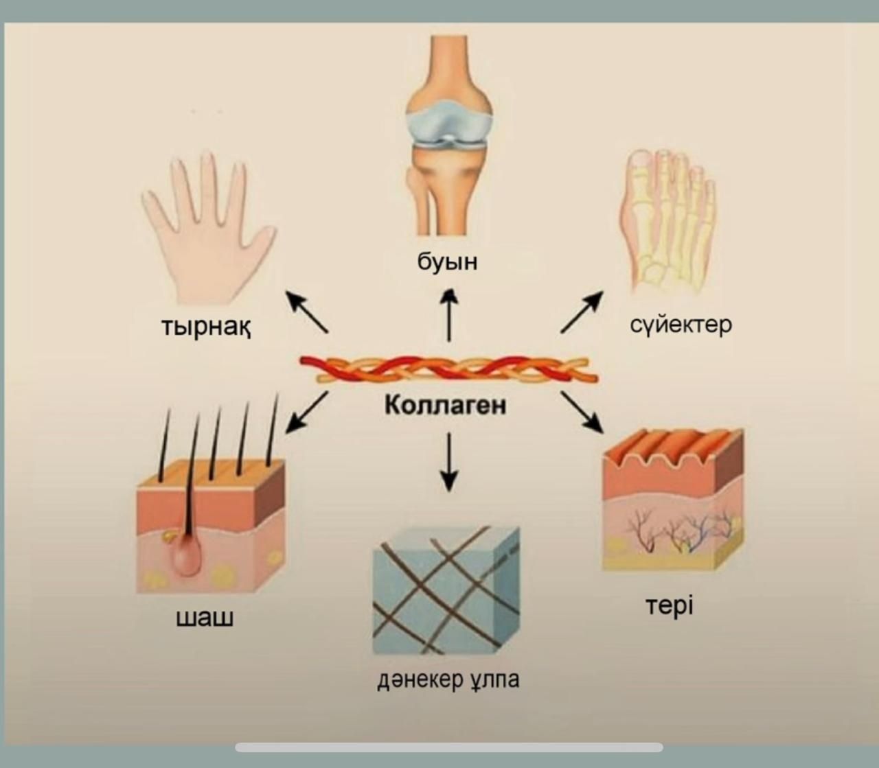 МультиКоллаген Турция