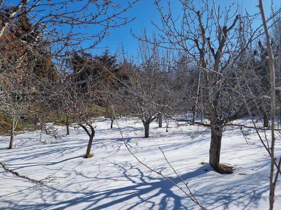 Yer sotiladia srochna So'qoq markazida yo'l boʻyi qulay lokatsiyada