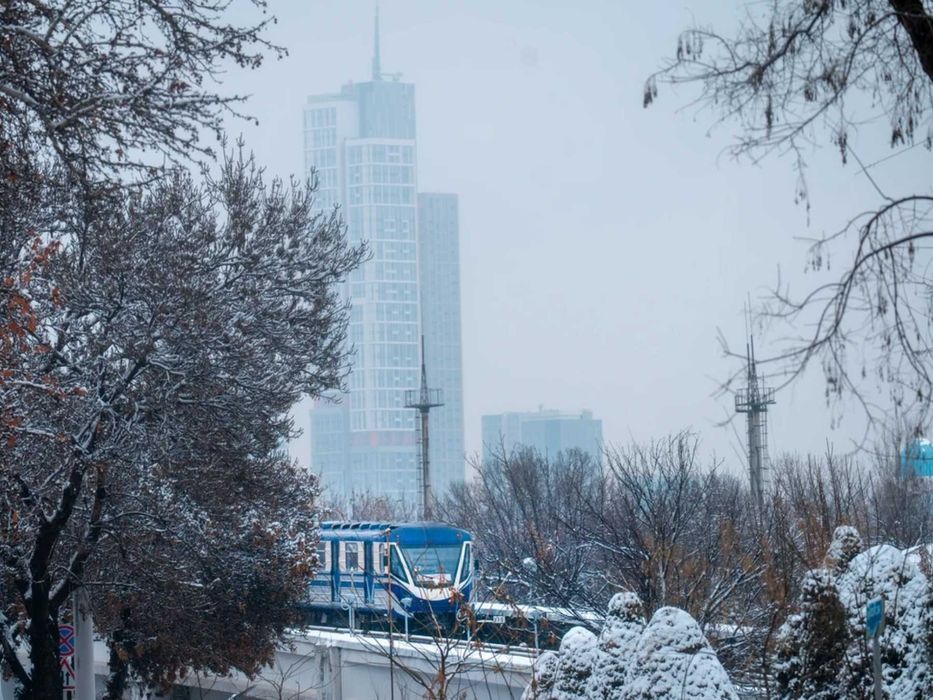 The Palimpsest City: Tashkent's Chronicles in Winter - excursion tour