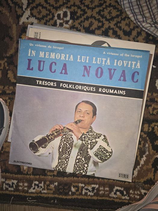 Discuri  de vinil