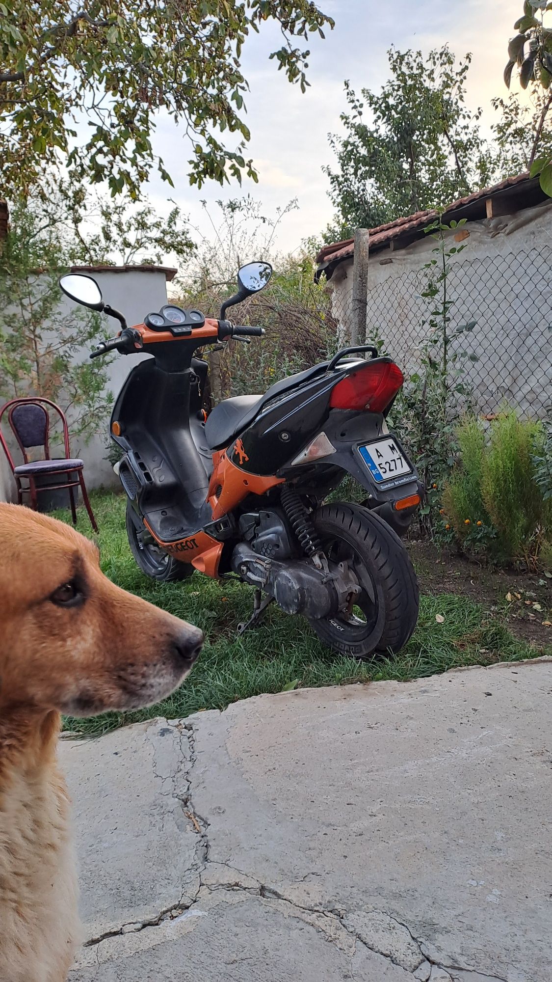 Peugeot speedfight 2